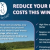 reduce horse feed costs devon haylage