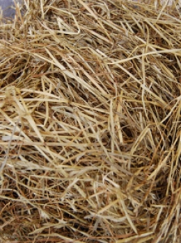 latest analysis from devon haylage